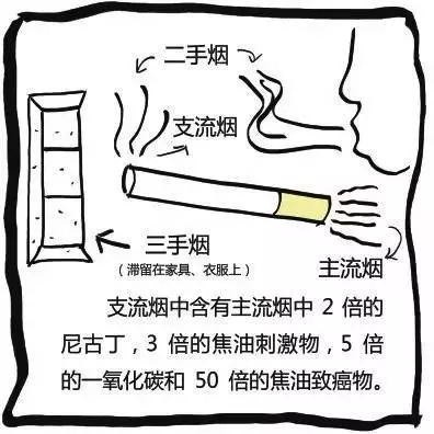 不吸烟女性成肺高危人群,如何对二手烟说不!