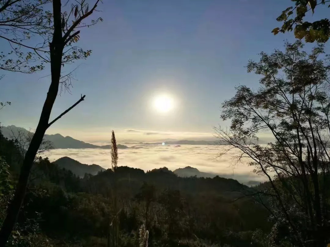 最近师宗这地方美成了仙境不去看太可惜