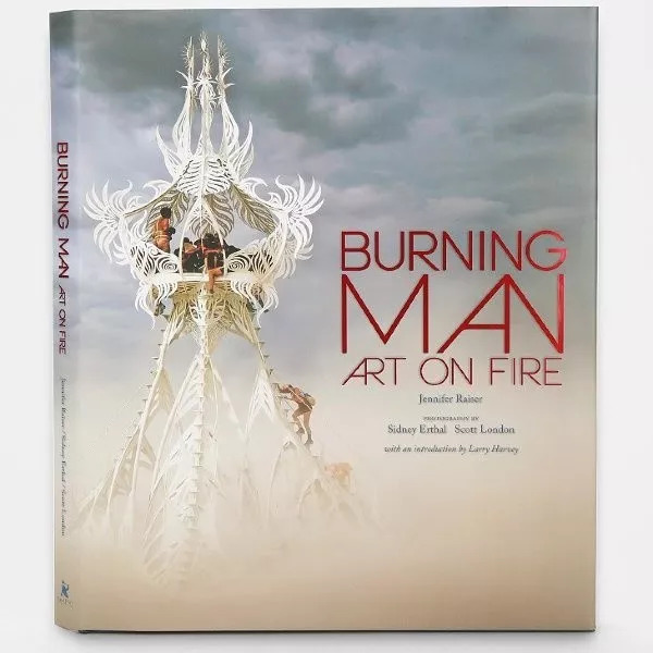 《burning man: art onfire》