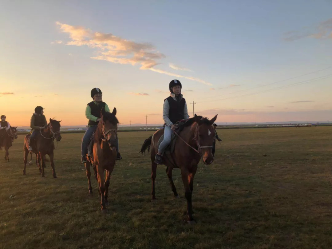 今年夏天我们迷醉在呼伦贝尔的绿色草原海洋吹着微风骑马驰骋大口吃肉