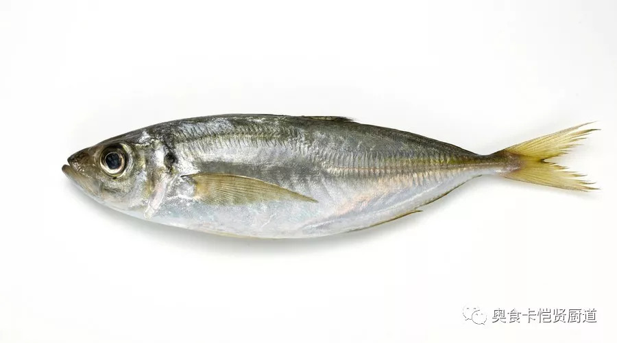鱼因品种不同,本身就存在金枪鱼这样的红肉鱼和带鱼这样的白肉鱼之分