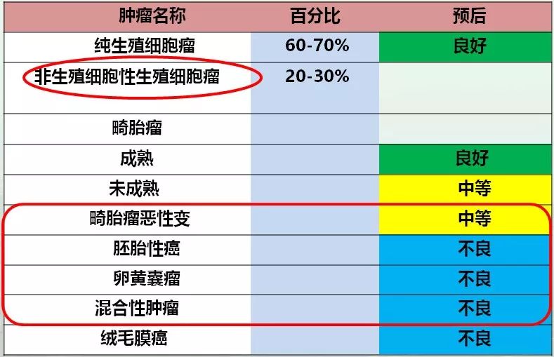 生化检查 血常规,肝肾功能无异常. 血清癌性标志物:afp 168.