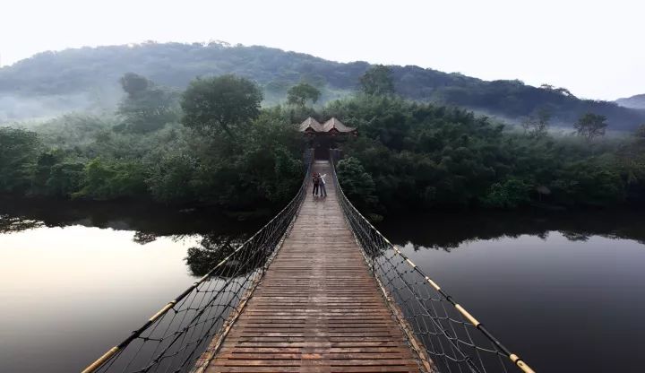 夏天, 盱眙第一山的竹海,松涛,一泓清水映照万杆翠竹,仿佛世外桃源.