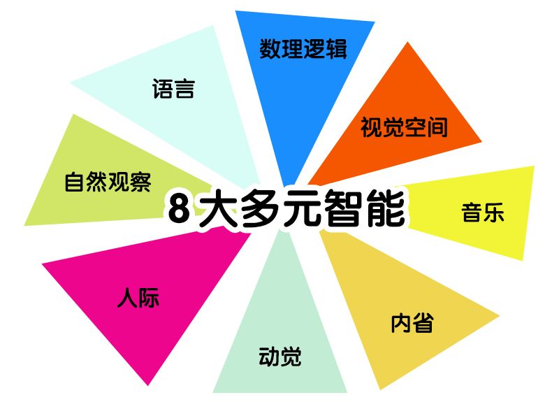 73霍华德·加德纳,世界著名教育心理学家,被誉为"多元智能理论"之父