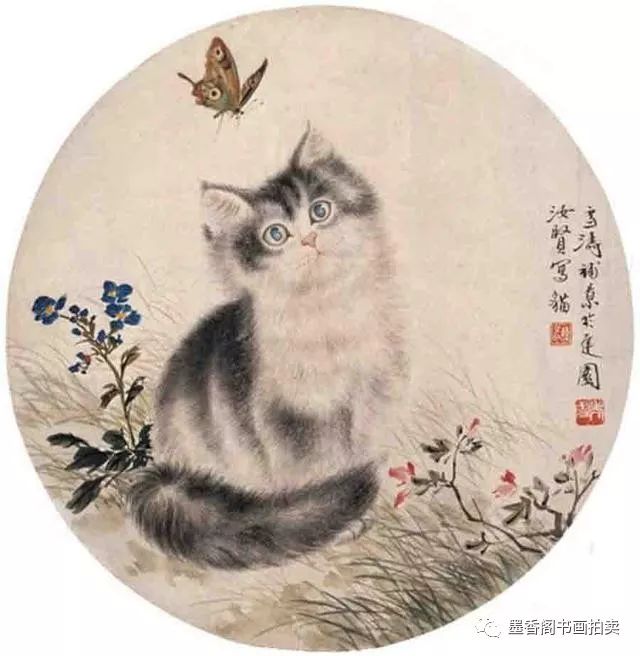 画家曹克家《可爱的萌猫咪》_齐白石