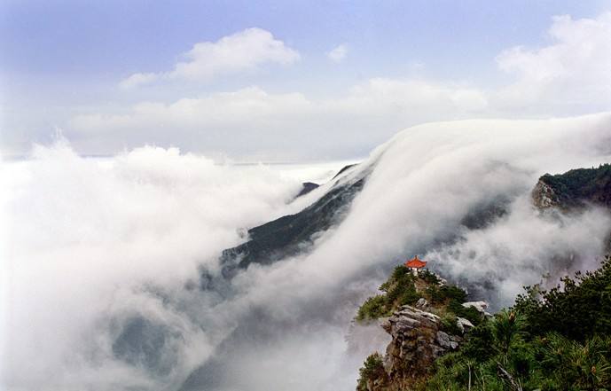 庐山烟雨浙江潮最终活成了自己曾经痛恶憎恨的样子