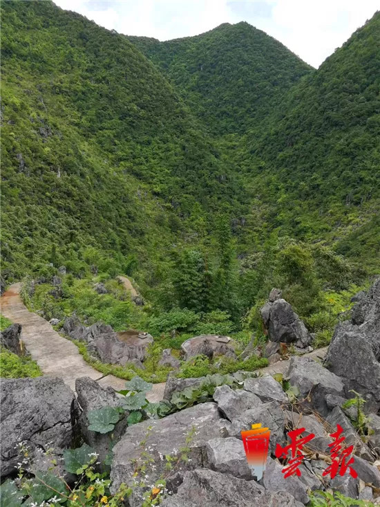 西畴精神写在石漠上的壮美史诗