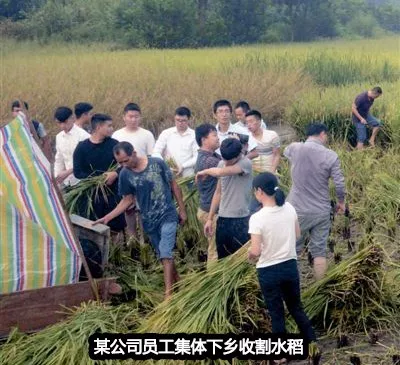 由此可见,这个节点并不是卖房子的好时机,因为丈母娘需要的是打谷子