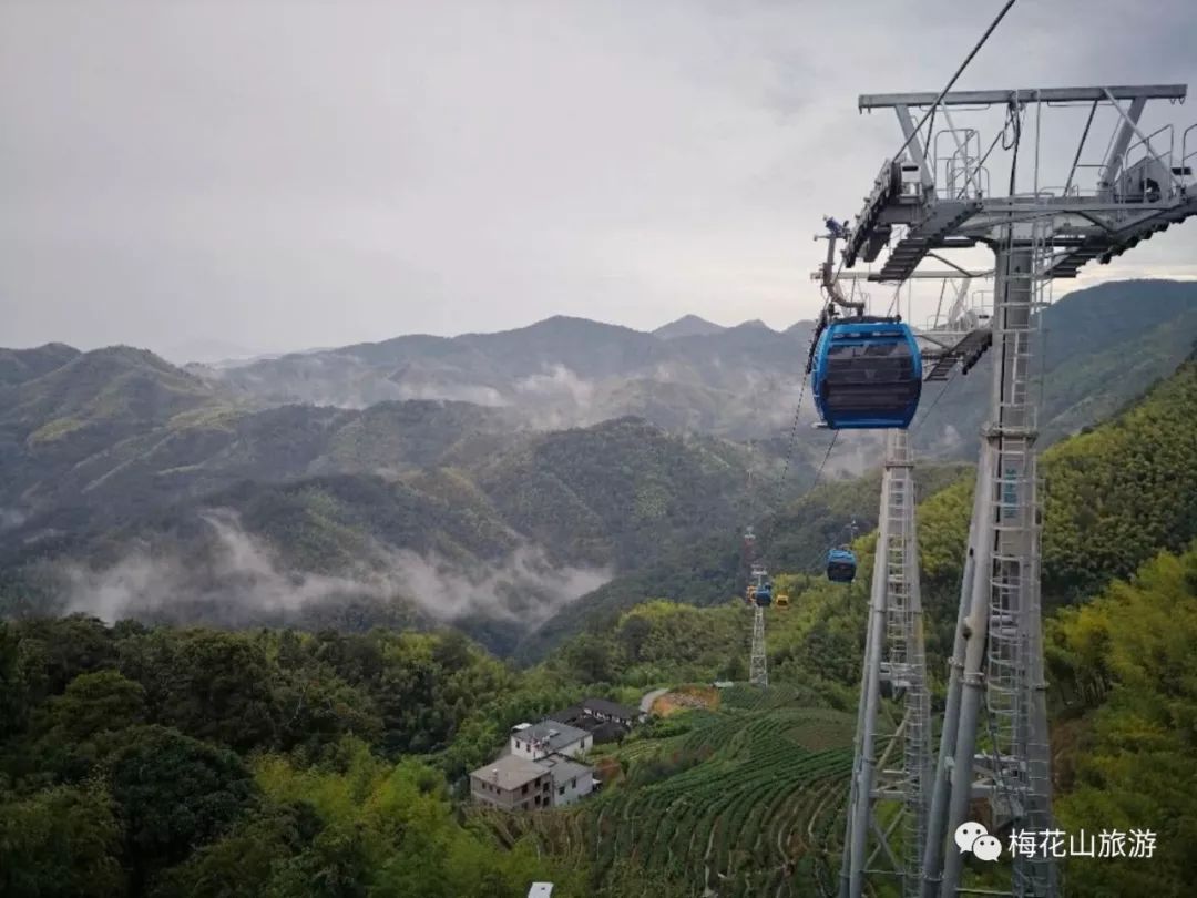 文章综合龙岩电视台,梅花山旅游 返回搜             责任编辑