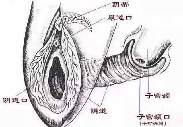 外阴起皮痒痛怎么办