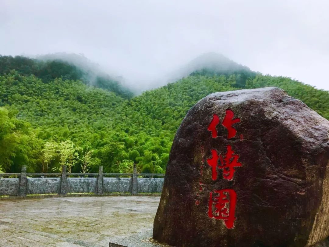 鹰潭周末好去处,看最美的风景,来青茅境放牧心灵!