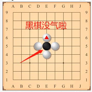 3分钟学懂围棋聂道围棋分享会樊麾老师带你感受围棋真趣