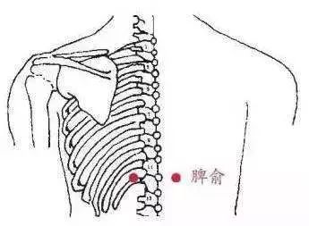 脾俞穴
