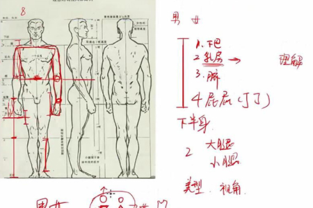 【精品】绘画初学者怎么画人体结构比例