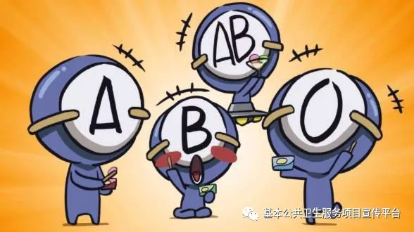 两大血型系统:abo和rh