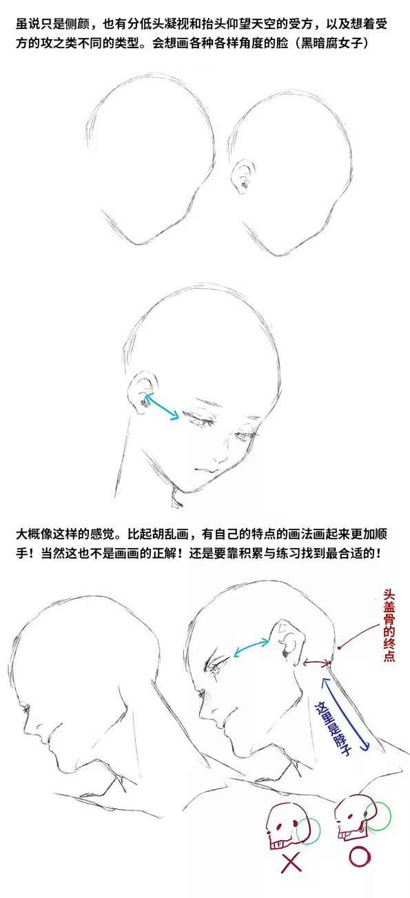 因此有很多的角度 除了我们常说的正脸侧脸等 其实还可以画出很多角度