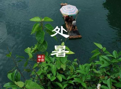 处暑丨这几点,你要知!