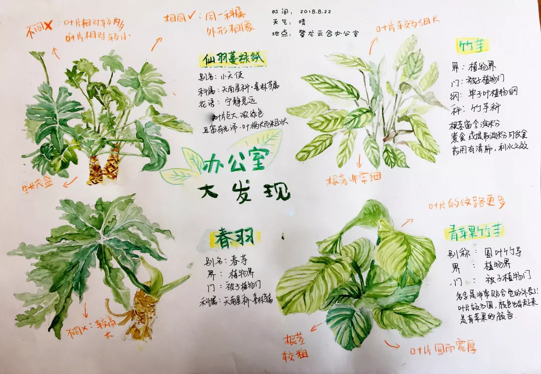 10个植物自然笔记