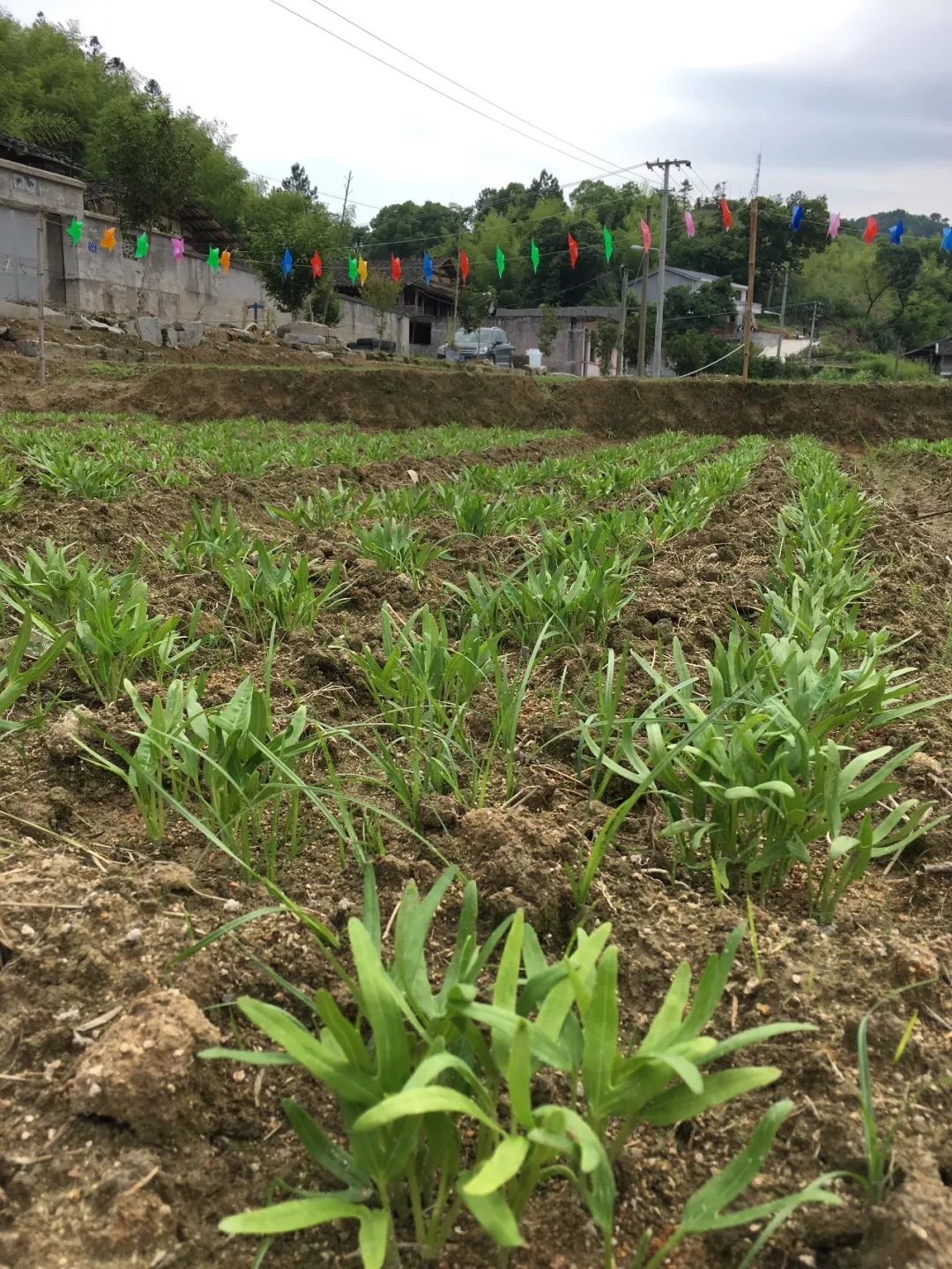 小时候生活农场,带你走进小时候