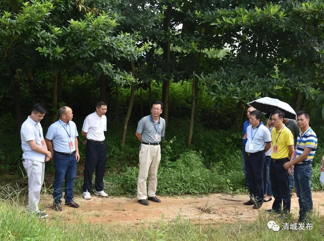 视察组一行首先前往飞来峡镇高田圩,了解当地饮用水问题,听取清城区