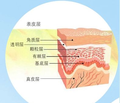 拼命补水,最高能使皮肤含水量到多少?