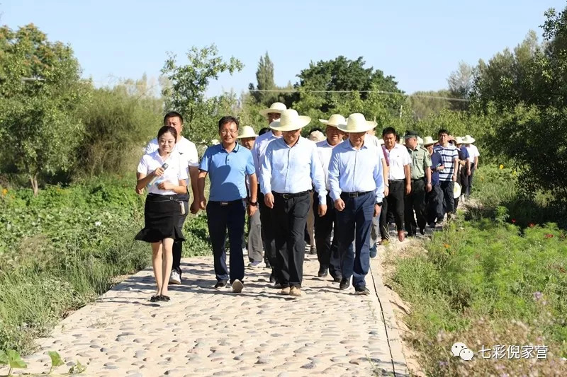 临泽县重点工作观摩团在倪家营镇观摩