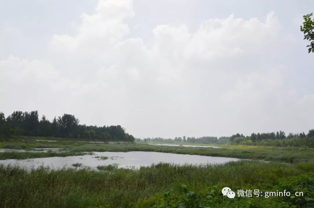 热点实拍这就是王吴水库和胶河的现状