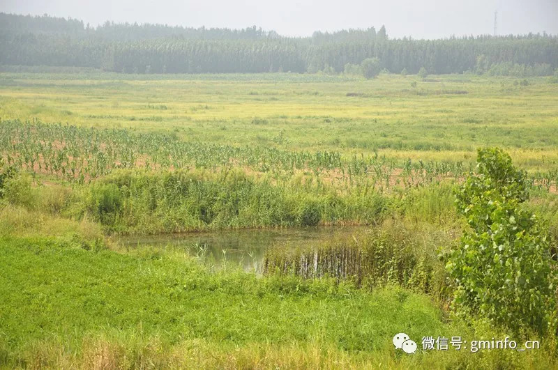 王吴水库景区实拍美景▼▼▼胶河实拍▼▼▼在此,小编倡议:节约用水