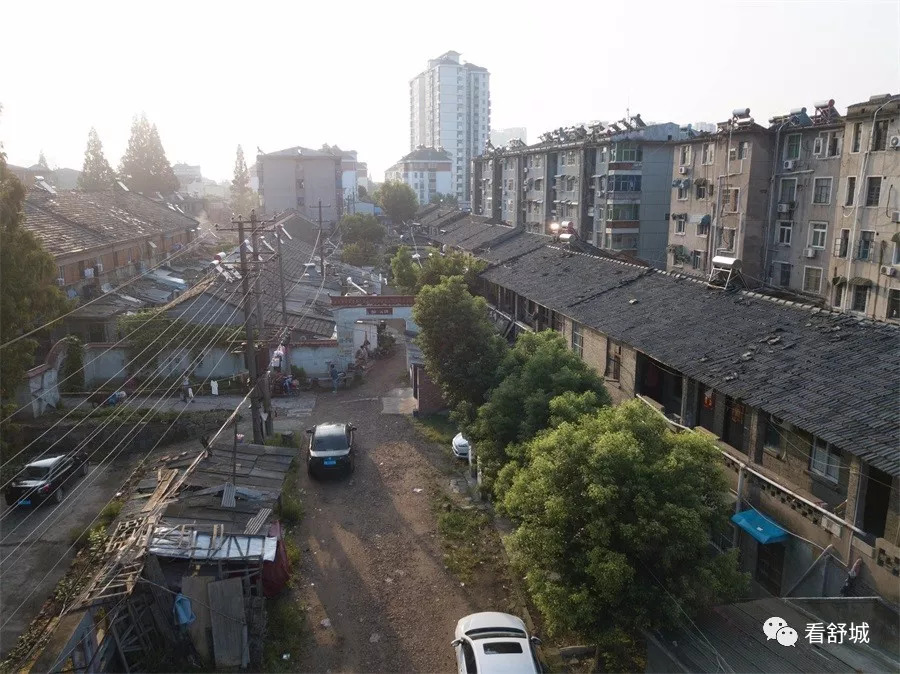 舒城忆舒麻致敬舒麻50年