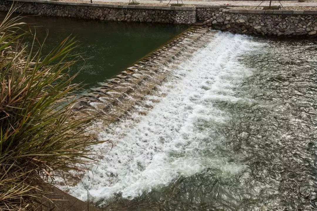 (水塘清淤,修建堰坝)党员河长先行,带动群众积极性治水,提升了河道内