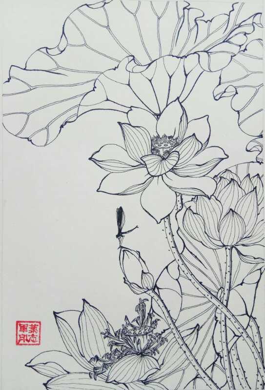 第六百二十幅——荷花(中性笔白描花卉习作)3,叶志军的钢笔画第六百