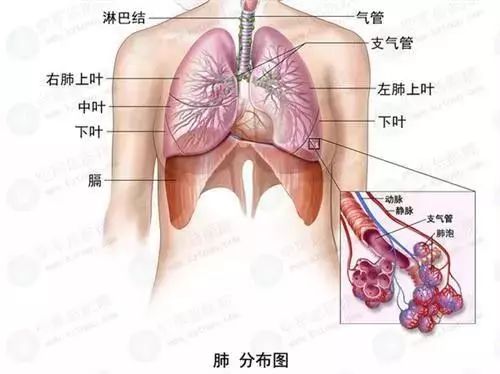 哮喘心率快怎么办