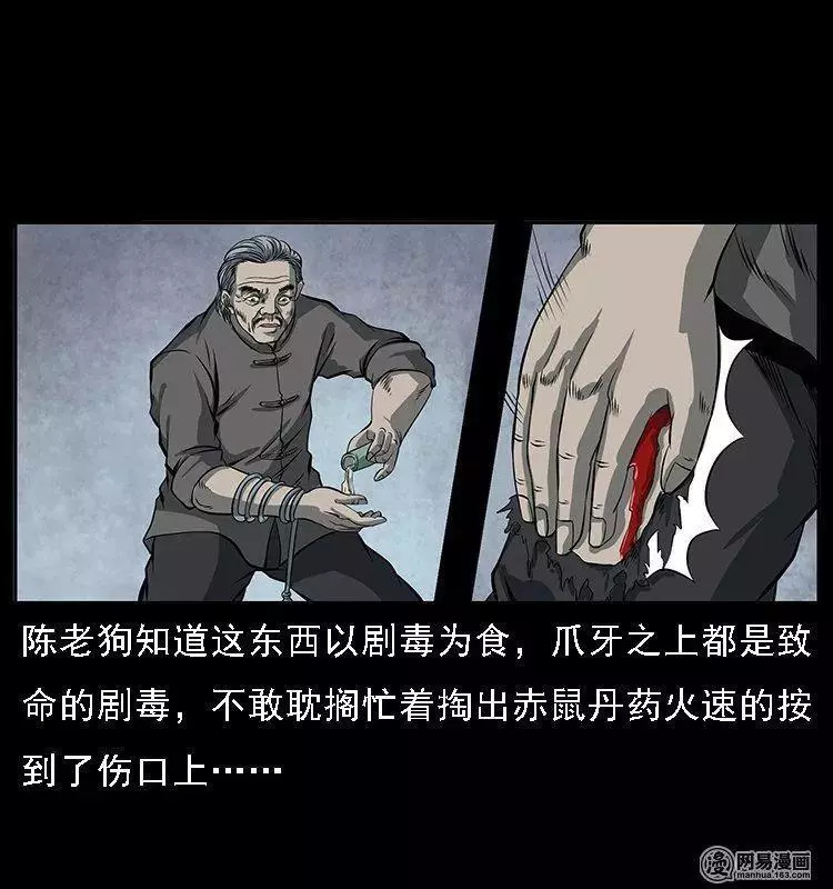 陈老狗