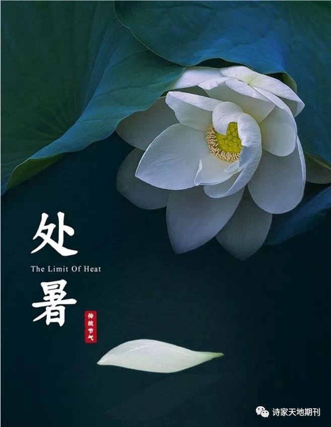 《诗家天地期刊》 第 350期处暑同题:时临处暑夜生凉