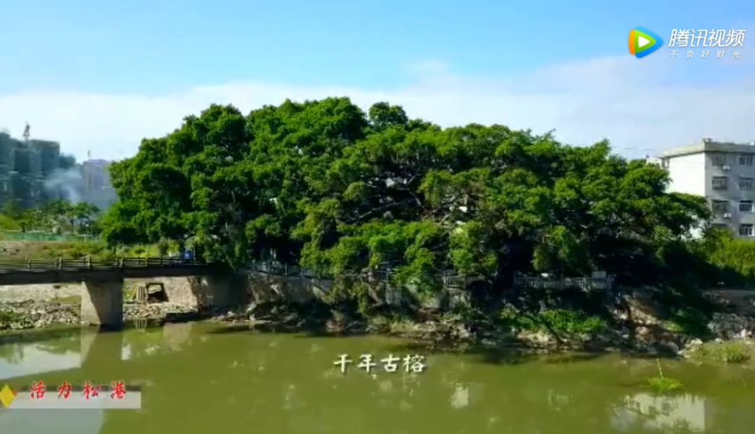 霞浦松港街道人口普查_人口普查(2)