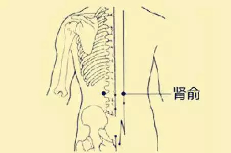 肾俞穴——补肾益精,缓解腰痛