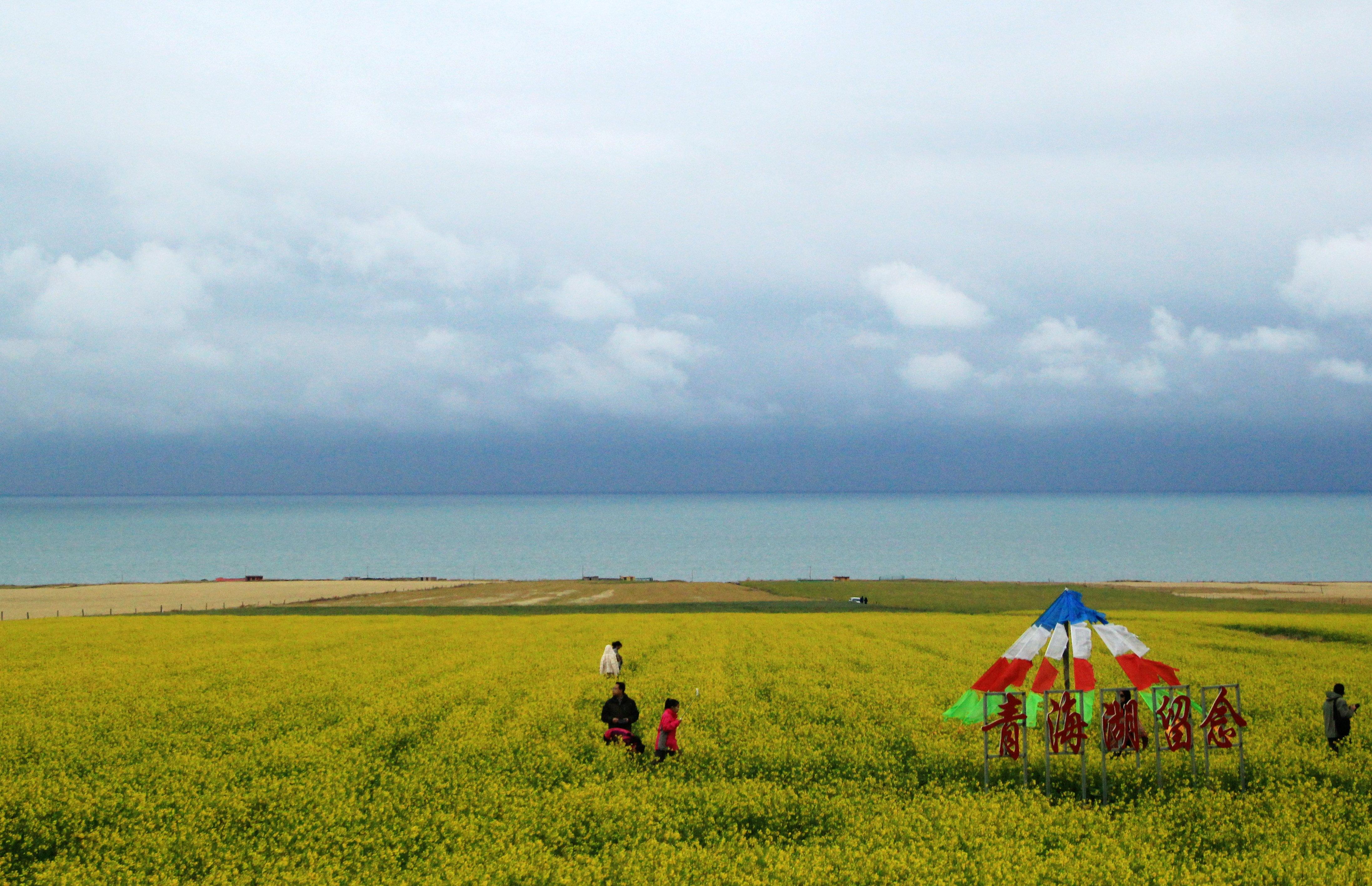 【携程攻略】共和青海湖景点,青海湖（青海省青海湖）青海湖又名“措温布”，即藏语“青色的海”之…
