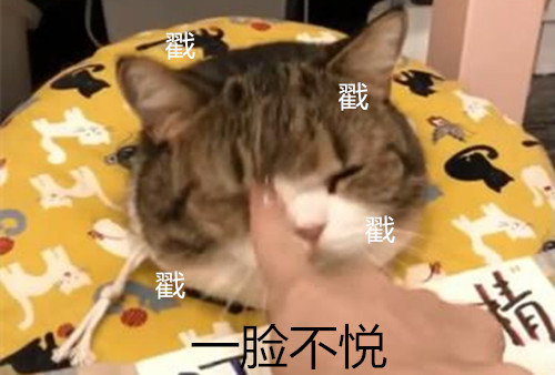 猫总是尿床怎么办