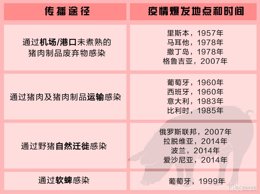 非洲猪瘟持续蔓延,我们真的要抛弃红烧肉和猪排了吗?