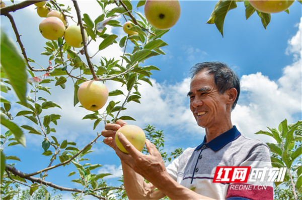 【改革开放40年"愚公"袁光明:用40年汗水换来家乡美如画