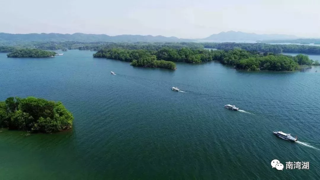 南湾湖景区—开学季就要到了,还宅在家里吗!_信阳