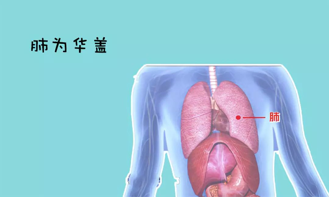 肺气不足怎么办