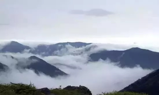 春赏奇峰，夏观云海，秋看红叶，冬听雪声，四季风光无限，春赏奇峰、夏观云海、秋看红叶、冬听雪声之旅