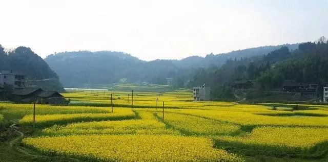 这就是"黔东第一关"天柱县瓮洞镇光明村.干净整洁,祥