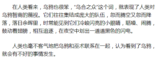 这种被人类认为最丑陋不祥的生物,其实是真正的狠角色!_乌鸦