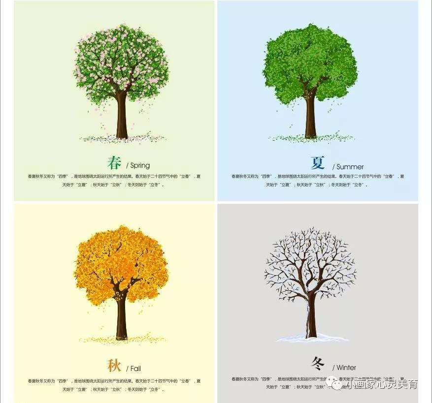 一,观看《四季的树》,欣赏不同季节下树的特点首先把树都当作有生命的