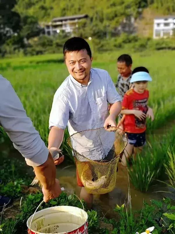 田间自在畅游的稻花鱼 只要他来 他就是这片鱼塘的塘主!