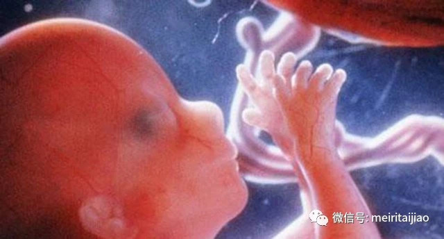 孕4个月的胎儿发育状况,胎宝宝都会做什么了?