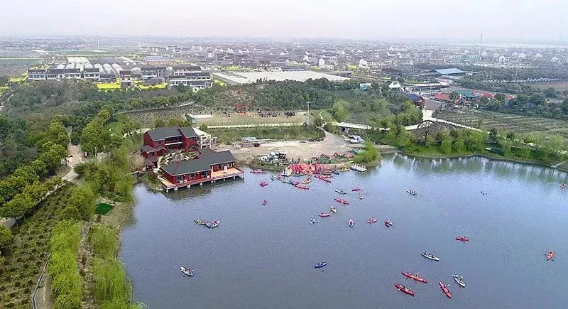 泰兴市黄桥镇祁巷村(祁巷蔬菜)