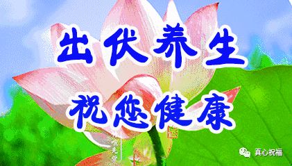 【养生】今日出伏!不懂规矩要吃亏!为家人看看吧!